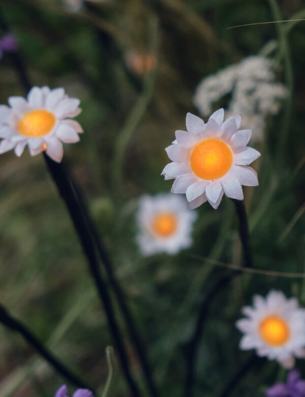 5pk LED Daisy Pathfinder Lights 5pk LED Daisy Pathfinder Lights