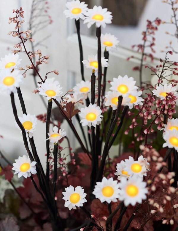 5pk LED Daisy Pathfinder Lights 5pk LED Daisy Pathfinder Lights
