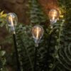 Outdoor Solar Pathfinder Lights